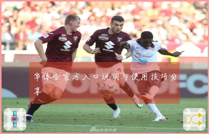 华体会官方入口说明与使用技巧分享