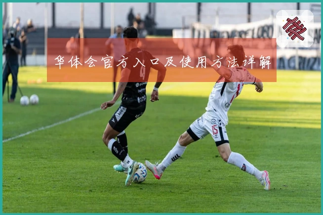 华体会官方入口及使用方法详解